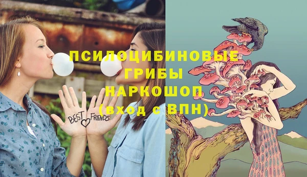 скорость Алексин