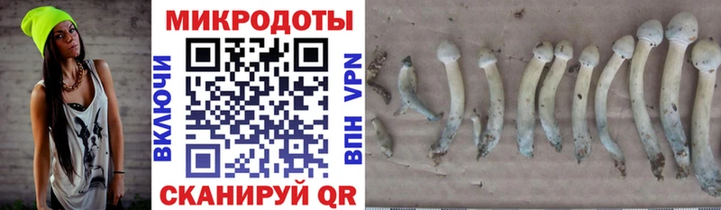Псилоцибиновые грибы MAGIC MUSHROOMS  Ижевск 