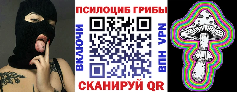 Галлюциногенные грибы Psilocybe Ижевск